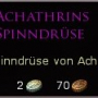 achathrin_spinndruese.jpg